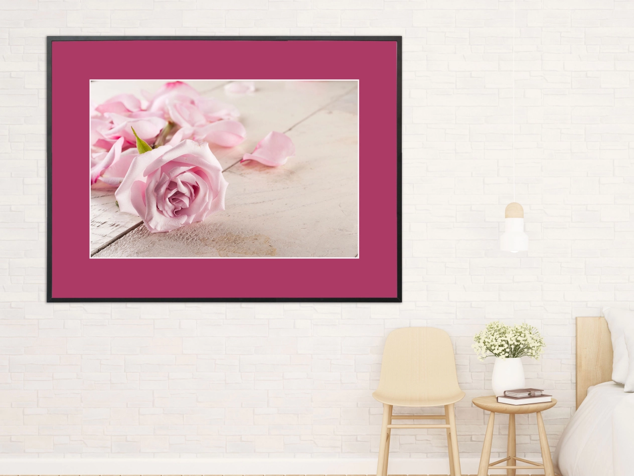Pinke liegende Rosen Pinke liegende Rosen