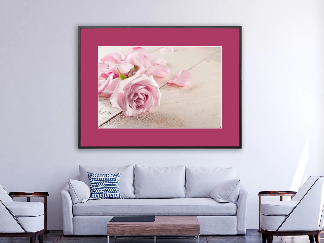 Pinke liegende Rosen Pinke liegende Rosen