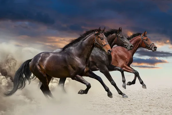 Tableau Toile Cheval Nature XXL - Impression Canvas Moderne, Prêt à Accrocher