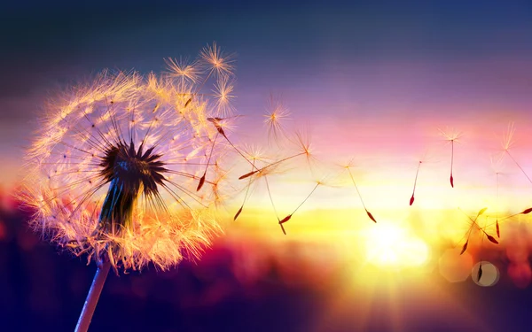 Leinwandbild „Wellen Bei Sonnenuntergang“ – Fertig Auf Keilrahmen, Direkt Aufhängen!