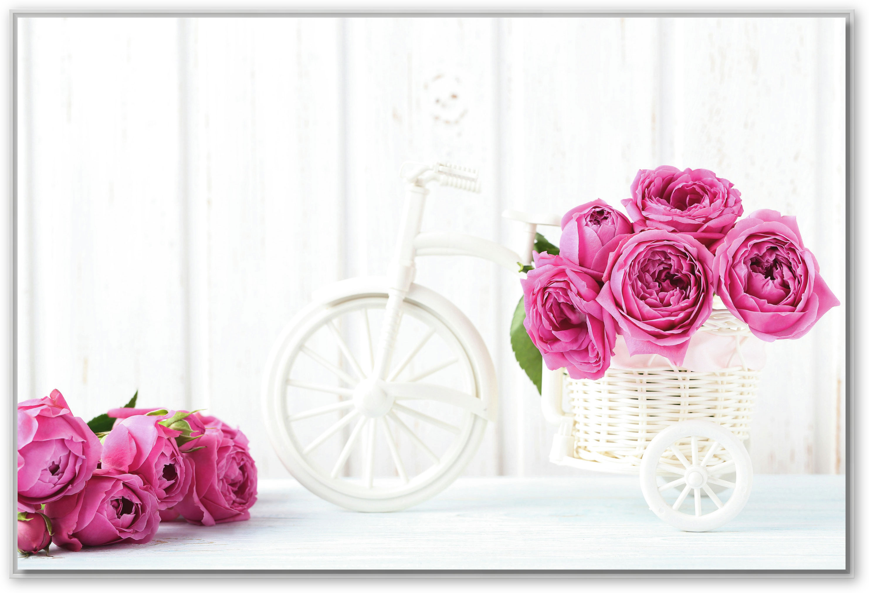 Rosen auf weißem Fahrrad, Schattenfugenrahmen weiß