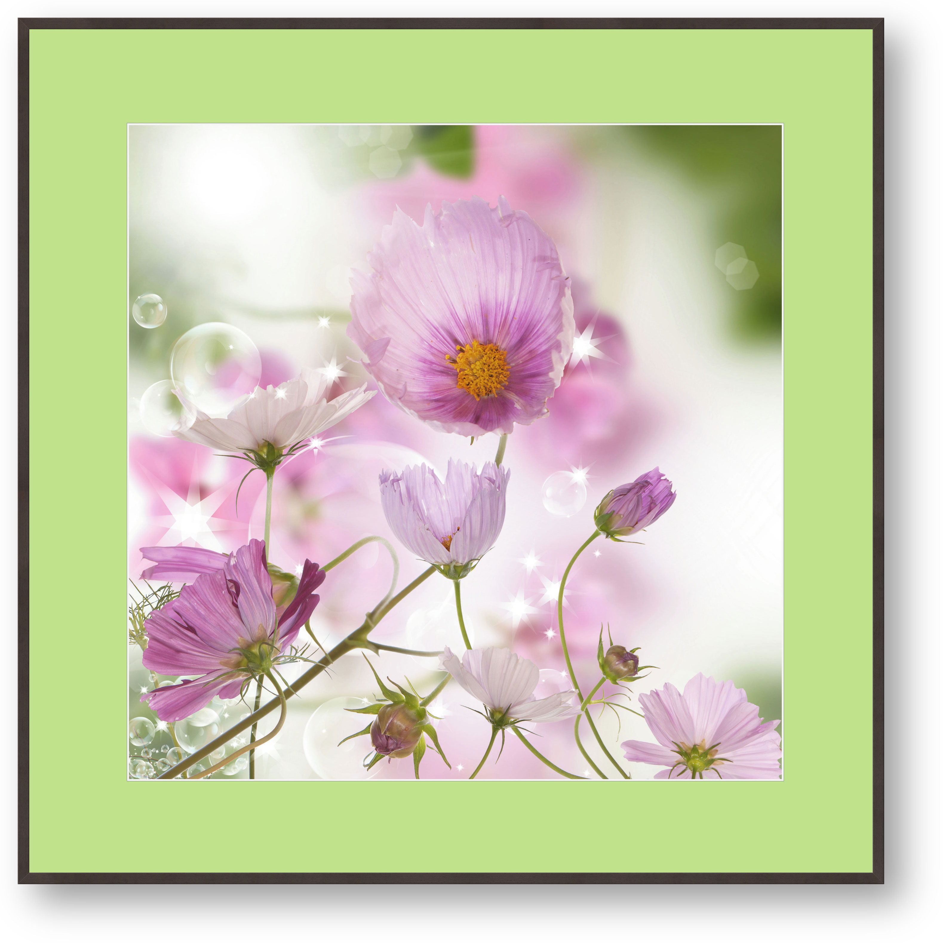 Rosa Blumen mit Seifenblasen