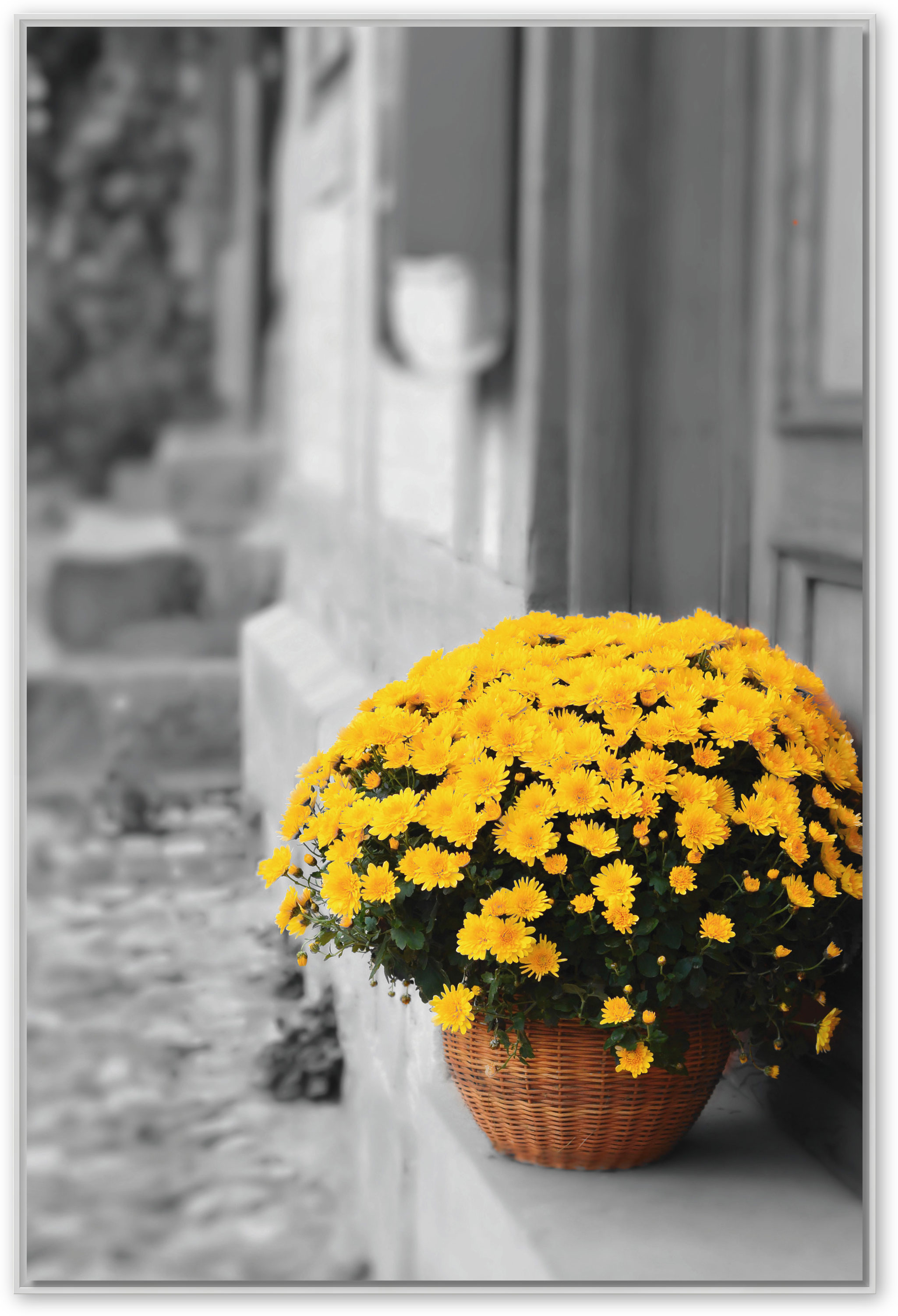 Gelbe Blumen im Korb, Schattenfugenrahmen weiß