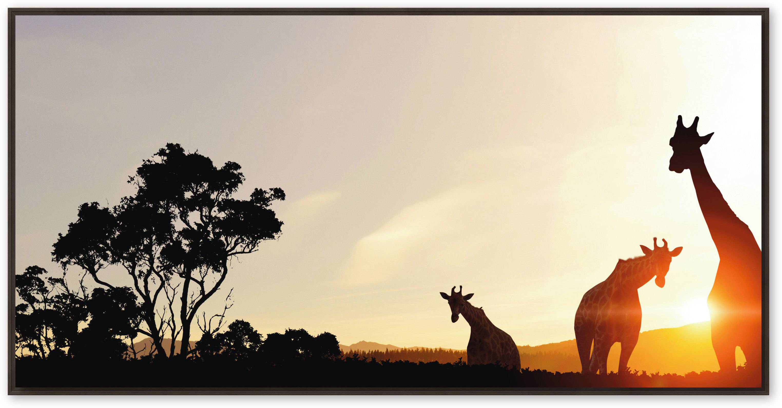 Giraffen im Sonnenuntergang, Schattenfugenrahmen braun