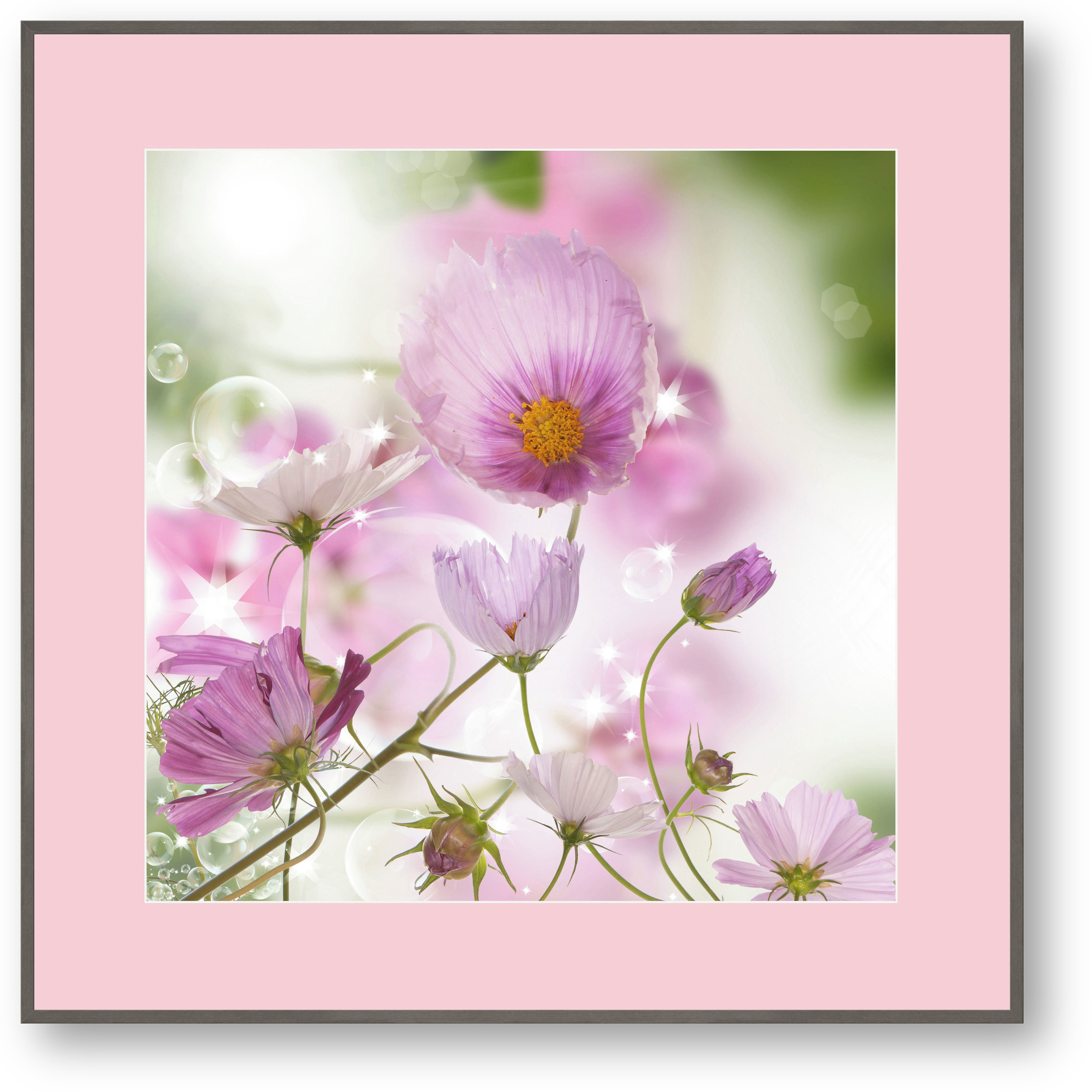 Rosa Blumen mit Seifenblasen Rosa Blumen mit Seifenblasen